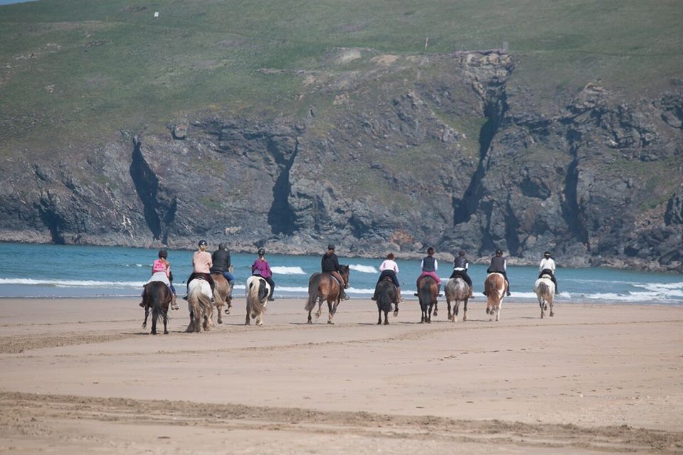 Reen Manor Riding Stables